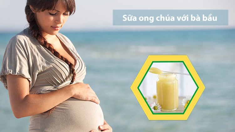 Bà Bầu Có Nên Uống Sữa Ong Chúa Tươi