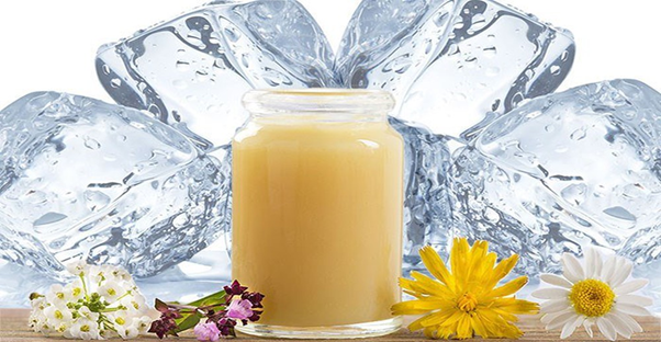 Cách Bảo Quản Sữa Ong Chúa Tươi Đúng Cách