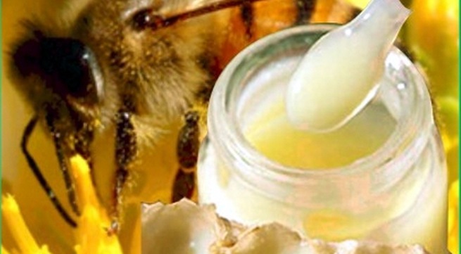 Tác Hại Khi Dùng Sữa Ong Chúa, Tuyệt Đối Đừng Chủ Quan