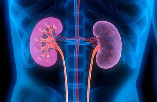 cách để biết bạn có nguy cơ mắc bệnh thận hay không