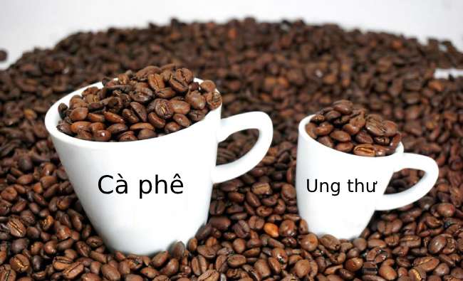 uống cà phê giúp ngăn ngừa nhiều bệnh ung thư