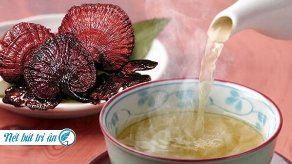 Biết cách dùng nấm lim xanh đúng cách giúp chữa bệnh hiệu quả