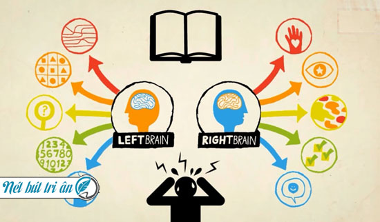 Sinh Trắc Vân Tay cho trẻ em giúp các phụ huynh có định hướng tốt cho bé