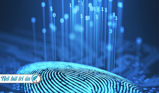 Sinh trắc vân tay có tác dụng gì?