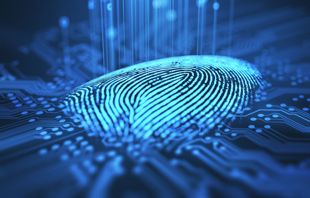 Sinh Trắc Vân Tay Là Gì? Thảo Luận, Review Trải Nghiệm Thực Tế