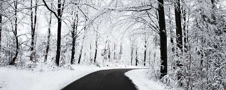 30 hình ảnh mùa đông đẹp lãng mạn nhưng buồn lạnh lẽo  GS TS Đàm Đức Vượng