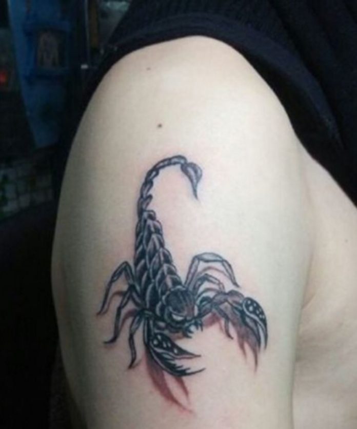 Hình xăm bọ cạp mang ý nghĩa kinh ngạc liệu bạn có giám thử  Tattoo  Ý  Nghĩa Hình Xăm  Hình Xăm Đẹp  Xăm Hình Nghệ Thuật