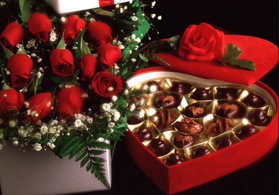 Cùng khám phá loại hoa valentine đẹp tựa như tình yêu khiến cho trái tim người nhìn rung động và say đắm. Mỗi loài hoa đều mang hàm ý riêng để bạn có thể lựa chọn cho đúng tình cảm của mình.