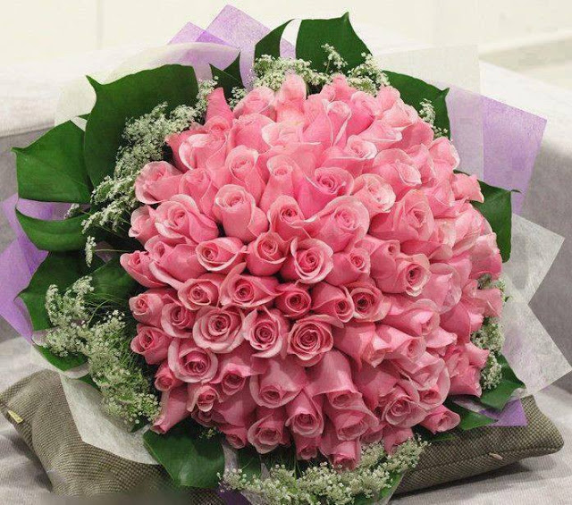 Ngày Valentine không thể thiếu những bông hoa hồng phấn đẹp như mơ. Hãy cùng ngắm nhìn những bức ảnh tuyệt đẹp về loại hoa này để chọn cho mình một món quà ý nghĩa nhân dịp đặc biệt này.
